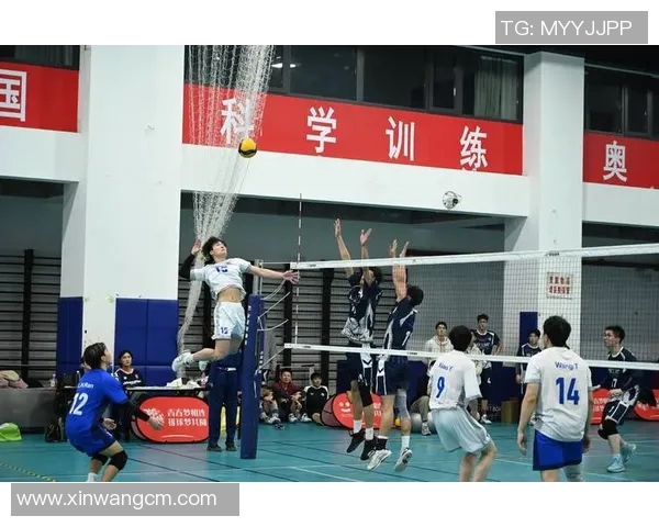 南京排球队在联赛中的耐力表现分析与未来展望